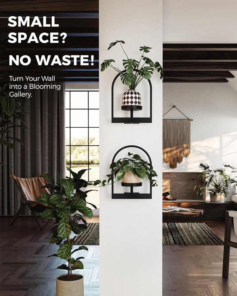 Bamworld Plant Stand Indoor, Plant Hanger Wall Planters for Indoor Plants Window Plant Shelves Plant Holder Wall Decor, Room Decor, Round (Patent Design) - Image 5